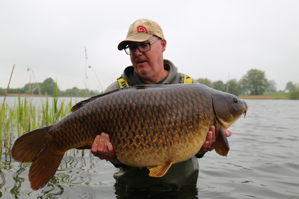 Chestnut carp from Redgrave Park Lake