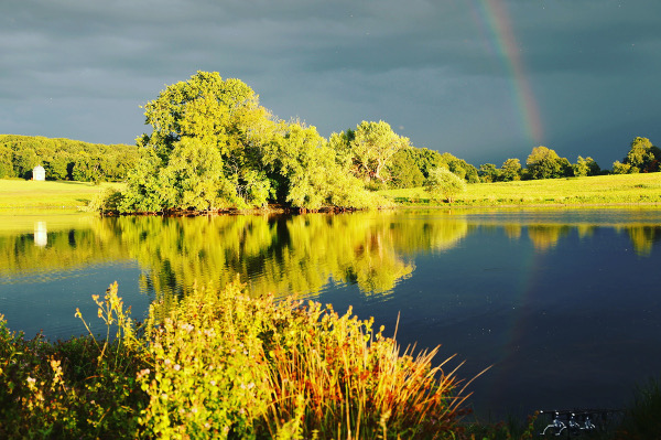 Reflection over Redgrave Park Lake